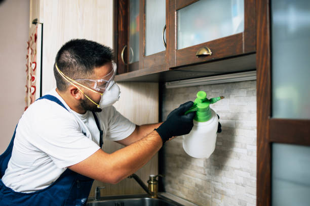 Best Pest Control Near Me  in Mead, CO