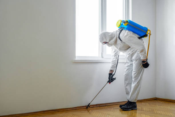 Best Commercial Pest Control Services  in Mead, CO